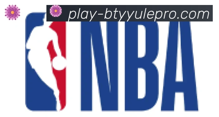 B体育官网合作伙伴